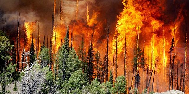 Acuerdo de procedimiento simplificado, entre Colombia y Ecuador sobre desastres naturales
