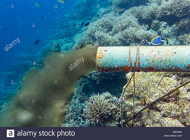 DECRETO N0. 1875 DE 1979