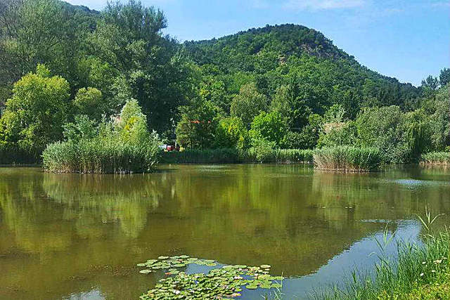 Döntés a párttá alakulásról Búbánatvölgyben