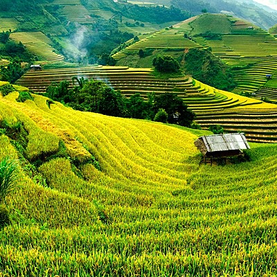 Timeline: Indonesië