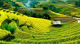 Timeline: Indonesië