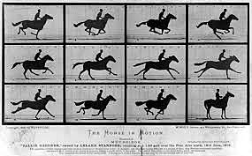 The Horse in Motion
