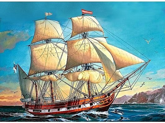 Voyage of the H.M.S. Beagle