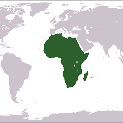 Timeline: Afrika sin historie