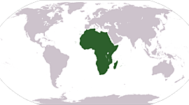 Timeline: Afrika sin historie