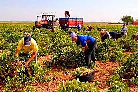 Tratado- acuerdo complementario en materia de biocombustible entre el gobierno de Colombia y el gobierno de la república de el salvador.