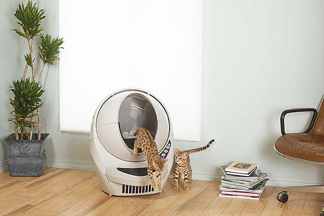Litter Robot