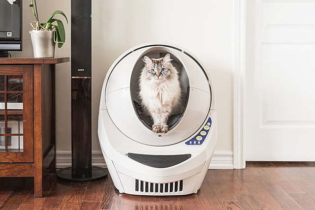 Litter Robot - Automatic Self-cleaning Litter Box
