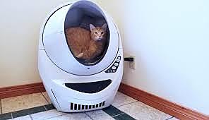 Litter Robot