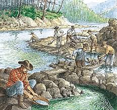 The California Gold Rush