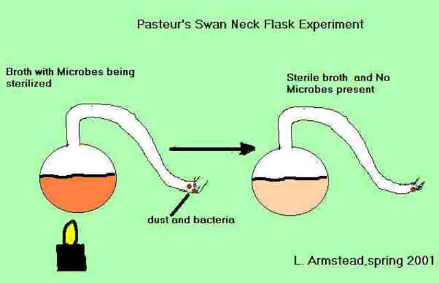 (1800-1900) Vital Force in Air Theroy