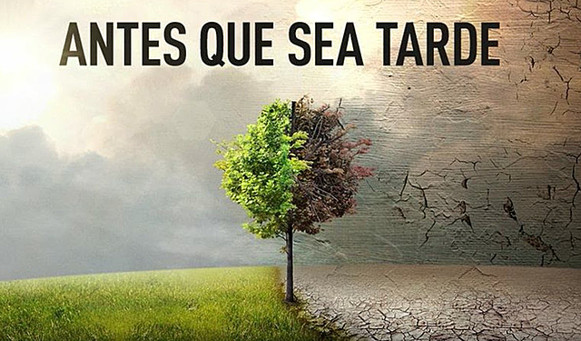 Constitucional Política de Colombia Artículo 79.