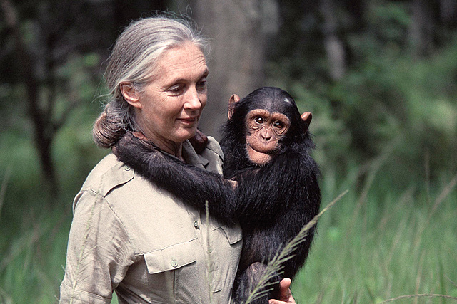 Jane Goodall