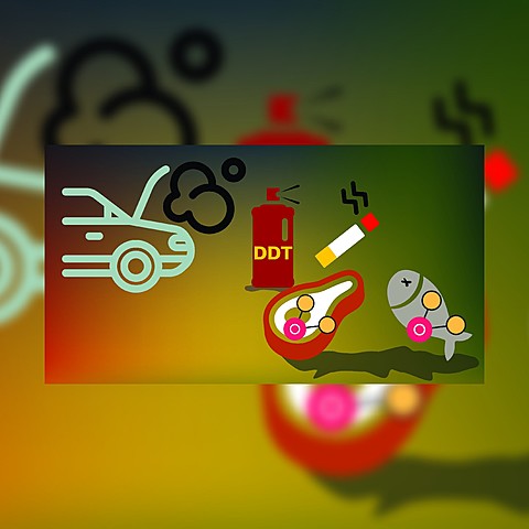 Convenio de Estocolmo sobre contaminantes orgánicos persistentes (COP).