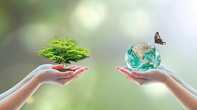 Programa de las naciones unidas para el medio ambiente PNUMA