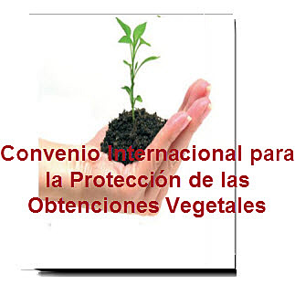 Convenio Internacional para la protección de obtenciones vegetales. Ley 243 de 1995