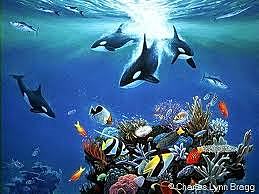 Programa de las naciones unidas para el medio ambiente PNUMA