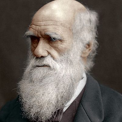 Timeline: Logan Bradley Timeline on Charles Darwin