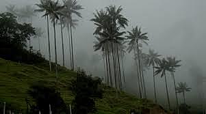 RESOLUCIÓN 97 DEL 2017