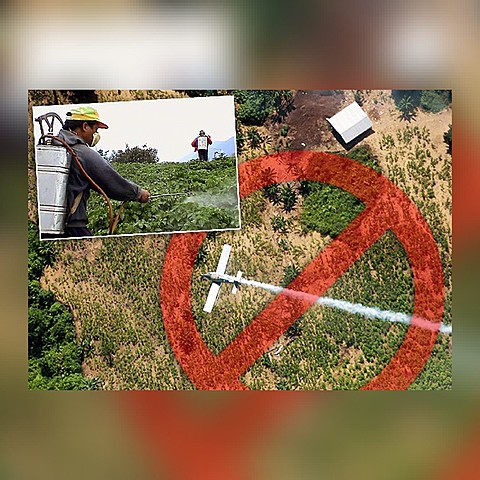 Ley 30 de 1986, resolución 6 de 2015: por la cual se ordena la suspensión del uso del glifosato en las operaciones de erradicación de cultivos ilícitos mediante aspersión aérea.