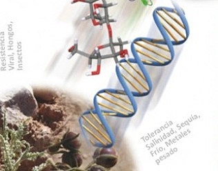 DBBSE El Decreto Ley 3570 de 2011