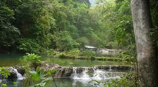 Resolución No. 2709 de 2017