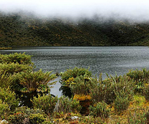 LEY 02 DEL 16 DE DICIEMBRE DE 1959