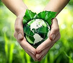 ARTICULO 289 CONSTITUCION POLITICA