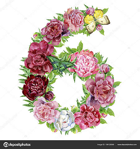 MI SEXTO AÑO DE PRIMARIA