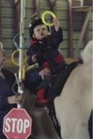 Development of a Standarized Hippotherapy Curriculum