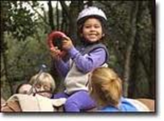 Standards Set for Practice of Hippotherapy