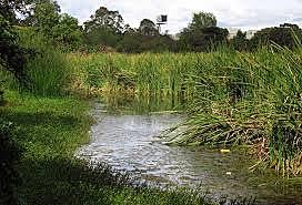 CONVENCIÓN RELATIVA A LOS HUMEDALES DE IMPORTANCIA INTERNACIONAL ESPECIALMENTE COMO HABITAD DE AVES ACUÁTICAS -RAMSAR-