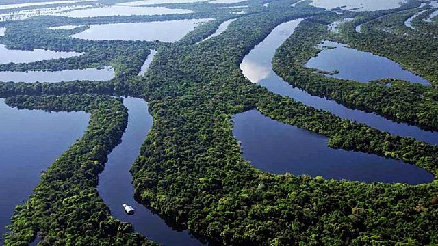 TRATADO: ACUERDO PARA LA CONSERVACIÓN DE LA FLORA Y DE LA FAUNA DE LOS TERRITORIOS AMAZÓNICOS DE LA REPÚBLICA DE COLOMBIA Y DE LA REPÚBLICA FEDERATIVA DEL BRASIL.