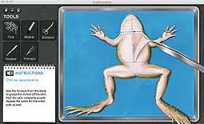 Students Allowed to Opt Out of Dissection