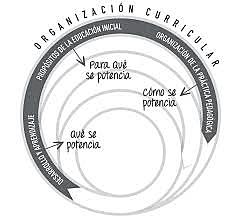 Bases Curriculares de la educación inicial - Organización curricular y pedagógica