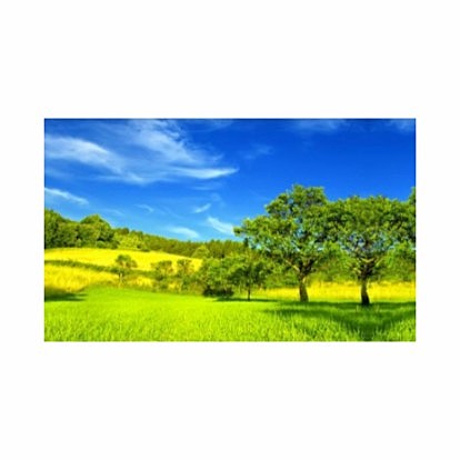 ARTICULO 79 Constitución Política De Colombia