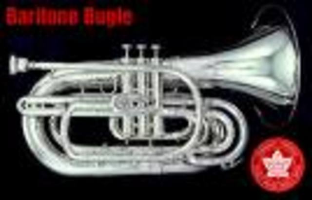 Assimilation- Band Camp