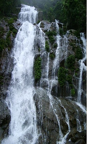 DECRETO 1729 DE 2002.