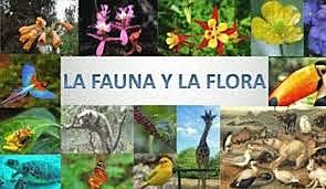 Resolución No. 1546 de 2019.