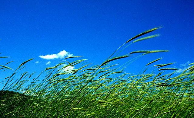 Resolución 0651- articulo 5