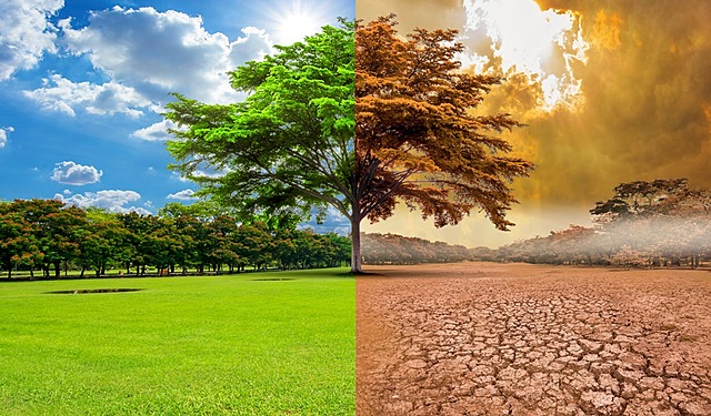 Evento: La Comisión Intersectorial de Cambio Climático, aprueba su plan de acción para el periodo septiembre 2019-septiembre 2020.