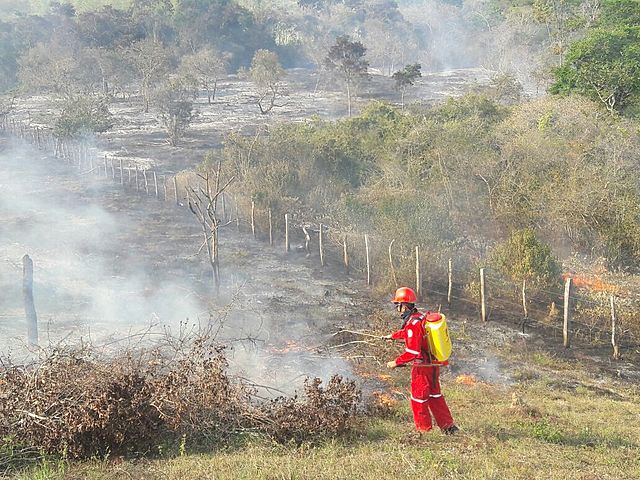 Noticia. Minambiente como medida preventiva da recomendaciones para evitar incendios forestales y así evitar la deforestación.