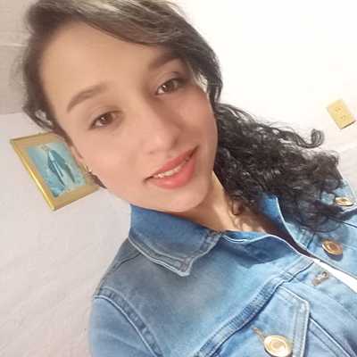 Timeline: MARCO AMBIENTAL COLOMBIA- GUISELA KATHERINE OROZCO DE SILVIA(CAUCA)