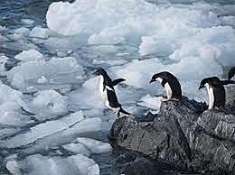 CONVENCIÓN SOBRE LA CONSERVACIÓN DE LOS RECURSOS VIVOS MARINOS ANTÁRTICOS