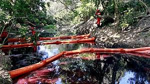 PROTOCOLO DE COOPERACIÓN PARA COMBATIR LOS DERRAMES DE HIDROCARBUROS EN LA REGIÓN DEL GRAN CARIBE