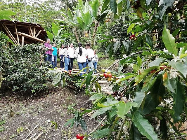 ACUERDO COMPLEMENTARIO AL CONVENIO DE COOPERACIÓN TÉCNICA Y CIENTÍFICA ENTRE COLOMBIA Y ECUADOR SOBRE SANIDAD VEGETAL