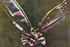 Popularizan la fotografía a Color