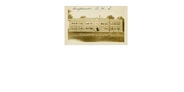 The Great Depression and New Deal