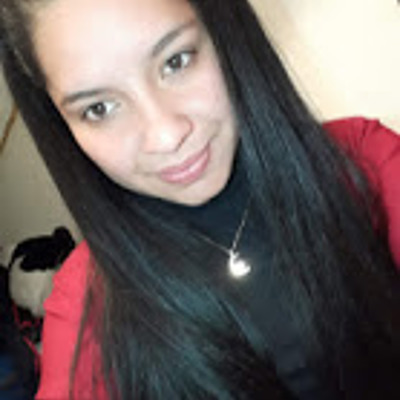 Timeline: Marco ambiental Colombia - Ana Milena Espitia Ramirez- Bogota C.D Cundinamarca