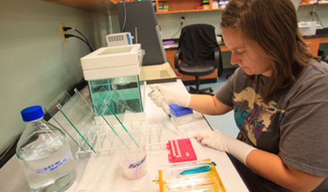 Technology does the job